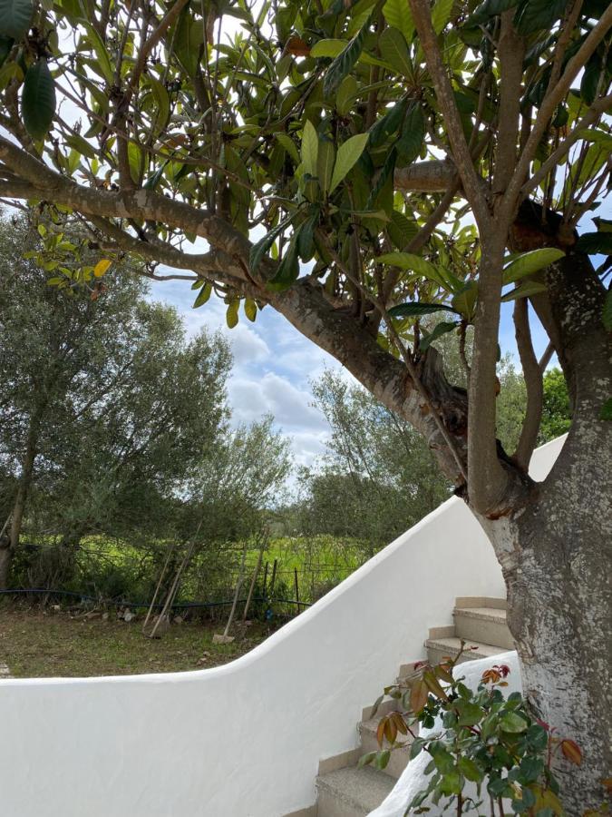 Casa Vacanza Porta Smeralda Olbia Buitenkant foto