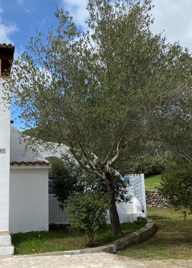 Casa Vacanza Porta Smeralda Olbia Buitenkant foto