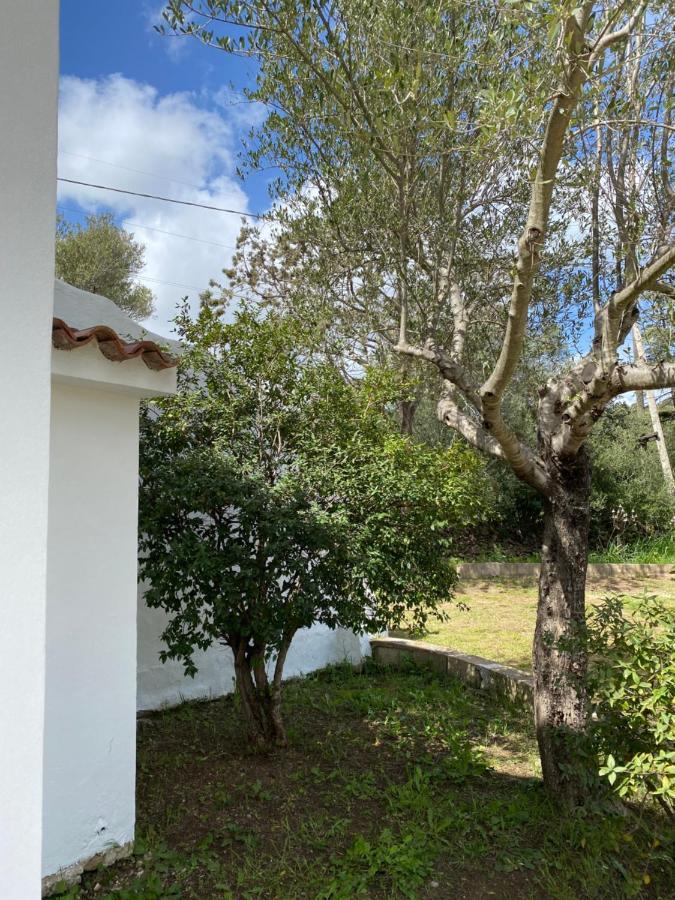 Casa Vacanza Porta Smeralda Olbia Buitenkant foto