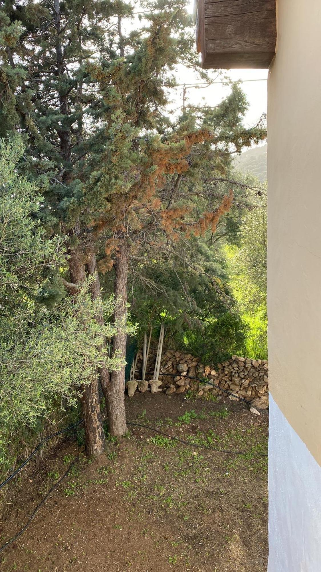Casa Vacanza Porta Smeralda Olbia Buitenkant foto