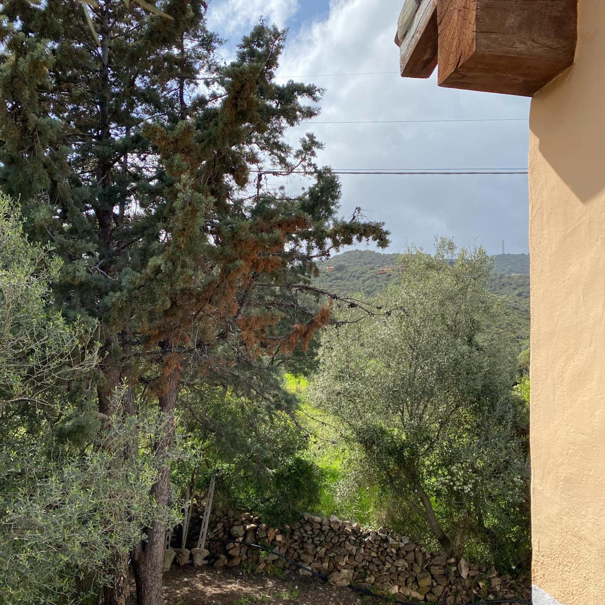 Casa Vacanza Porta Smeralda Olbia Buitenkant foto