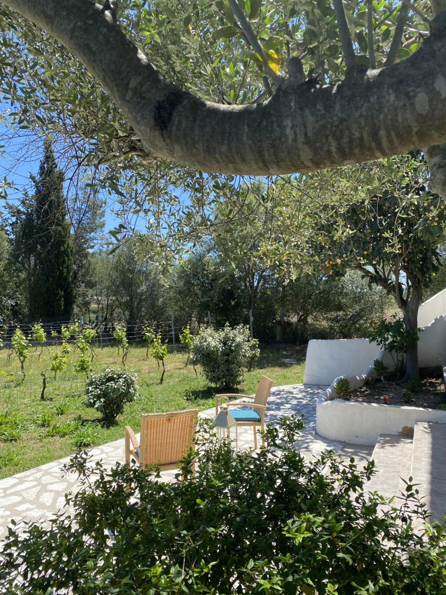 Casa Vacanza Porta Smeralda Olbia Buitenkant foto